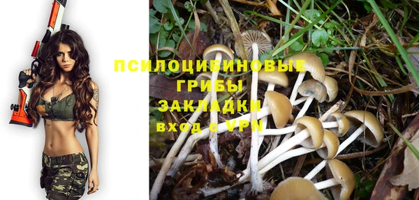 спайс Алексин